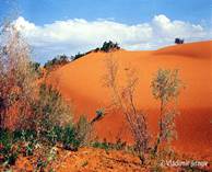 Usbekistan - Land von anreizenden Wüsten 