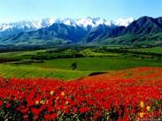 Entzückende Bergwelt Usbekistans